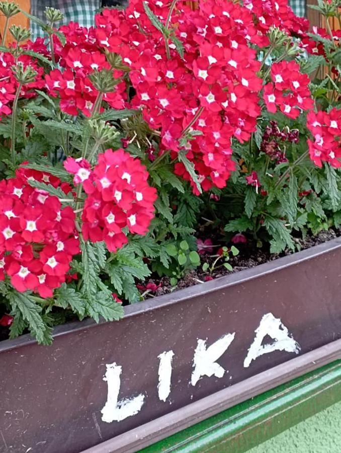 Ivona - Kuca Za Odmor Perusic - Stara Lika Apartment Bagian luar foto