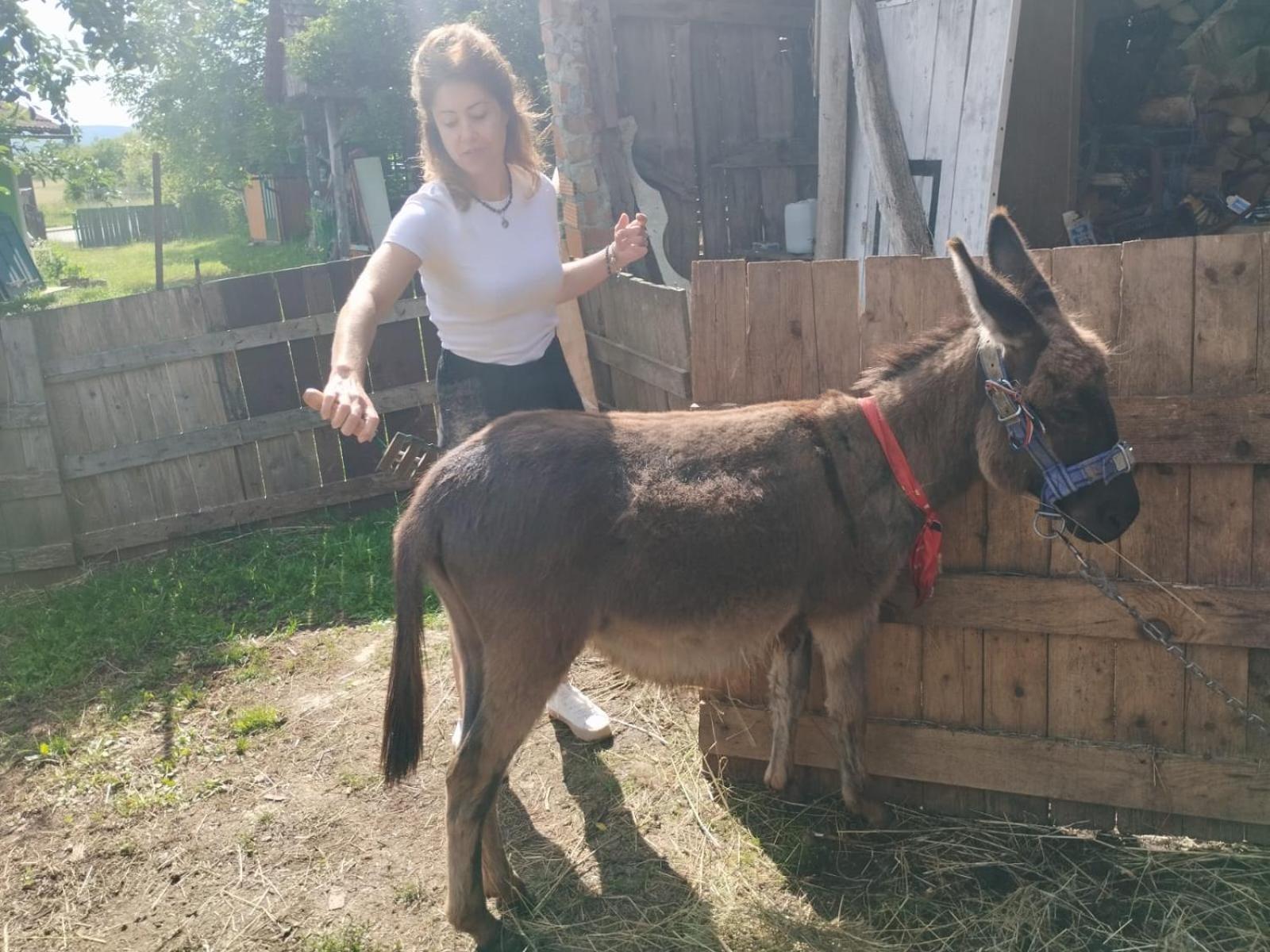 Ivona - Kuca Za Odmor Perusic - Stara Lika Apartment Bagian luar foto