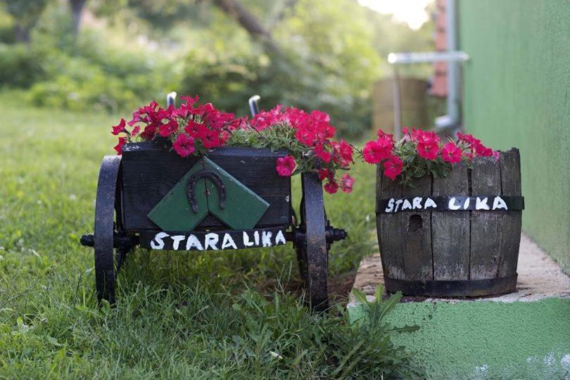 Ivona - Kuca Za Odmor Perusic - Stara Lika Apartment Bagian luar foto